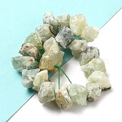 Raw Rough Natural Prehnite Beads Strands&nbsp;G-P528-A05-01