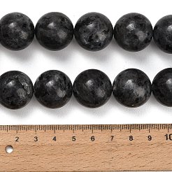 Natural Larvikite Beads Strands&nbsp;GSR20mmC128