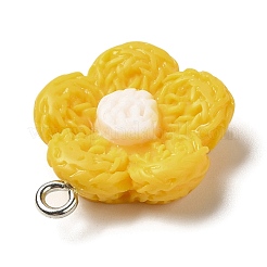 Opaque Resin Pendants&nbsp;RESI-L038-01P-05