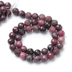 Natural Rhodonite Bead Strands&nbsp;G-R411-07-10mm