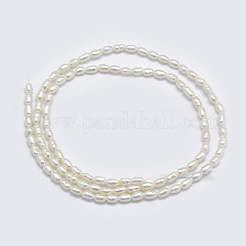 Natural Cultured Freshwater Pearl Beads Strands&nbsp;PEAR-F007-83