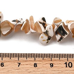 Natural Trochid Shell/Trochus Shell Beads Strands&nbsp;SHEL-B003-02A