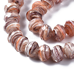 Handmade Lampwork Beads Strands&nbsp;LAMP-T007-13A