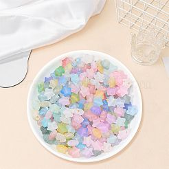 300Pcs Frosted Acrylic Beads&nbsp;OACR-PA0001-71A
