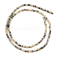 Natural Dalmatian Jasper Beads Strands&nbsp;GG-CBAED3F-A04