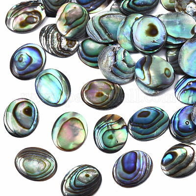 天然アワビシェル/パウアシェルカボション  オーバル  カラフル  10x8x1mm&nbsp;SSHEL-N034-118-1
