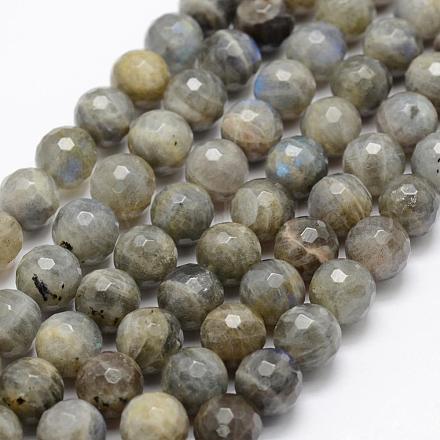 Natural Labradorite Beads Strands&nbsp;G-P322-32-4mm-1