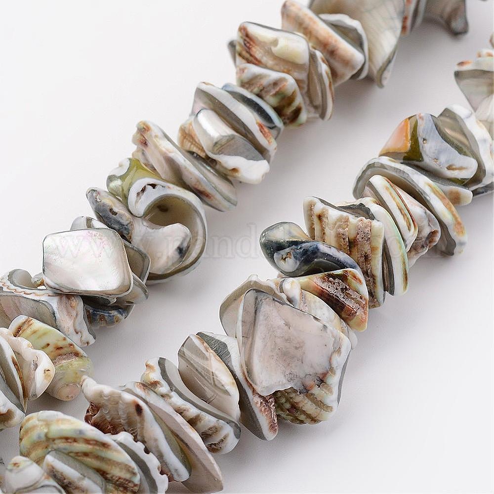 Wholesale Natural Shell Bead Strands - Pandahall.com