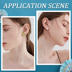 40Pcs 304 Stainless Steel Clip-on Earring Findings&nbsp;STAS-SC0008-39G