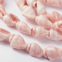 天然の海シェル巻き貝ビーズ連売り  5~8mm  穴：2mm  約150個/連  56.7インチ&nbsp;X-BSHE-O009-11