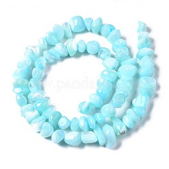 Natural Trochid Shell/Trochus Shell Bead Strands&nbsp;SSHEL-N034-78-C03