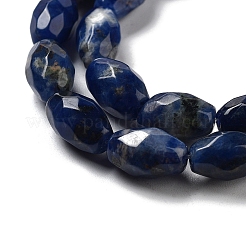 Natural Sodalite Beads Strands&nbsp;G-P520-C07-01