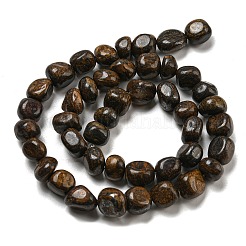 Natural Bronzite Beads Strands&nbsp;G-D081-A11-01