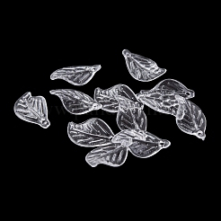Transparent Acrylic Pendants&nbsp;TACR-G050-02B