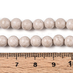 Dyed Natural Fossil Beads Strands&nbsp;G-T139-6mm-66A