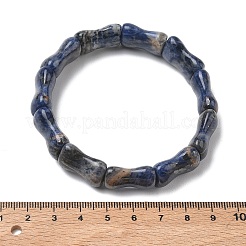Bamboo Natural Sodalite Beads Stretch Bracelets for Women Men&nbsp;BJEW-K304-01E