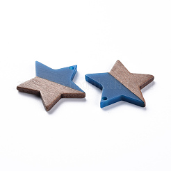 Opaque Resin & Walnut Wood Pendants&nbsp;RESI-T035-39C