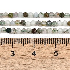 Natural Moss Agate Beads Strands&nbsp;G-RM2025-A33-2mm