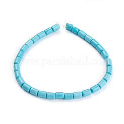 Synthetic Howlite Beads Strands&nbsp;G-F647-12A