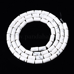 Synthetic Turquoise Beads Strands&nbsp;G-S366-076C