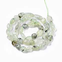 Natural Prehnite Beads Strands&nbsp;G-R465-50B