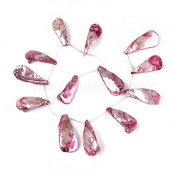 AB Color Plated Dyed Natural Freshwater Shell Beads Strands&nbsp;SHEL-T020-55A