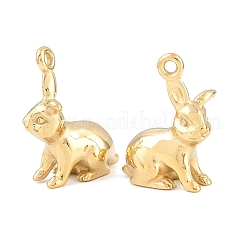 304 Stainless Steel Pendants&nbsp;SA-CBA02E8-10G