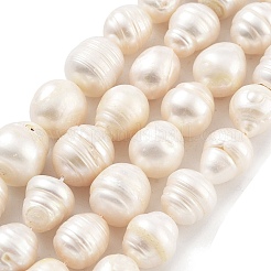 Natural Cultured Freshwater Pearl Beads Strands&nbsp;PEAR-P062-23