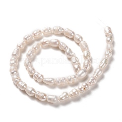 天然養殖淡水パールビーズ連売り  ライス  ビスク  7~8x5~6mm  穴：0.8mm  約43個/連  13.39インチ（34cm）&nbsp;PEAR-L033-64-01