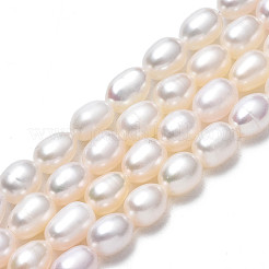 天然養殖淡水パールビーズ連売り  ライス  貝殻色  6~7.5x4.5~5mm  穴：0.6mm  約51~52個/連  13.78インチ（35cm）&nbsp;LS-PEAR-N012-04C