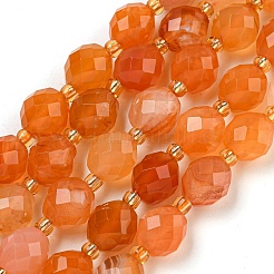 Natural Orange Botswana Agate Beads Strands&nbsp;G-N342-45