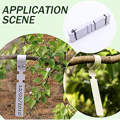 プラスチック植物ラベル200枚  植物タグ  種用鉢植えハーブ花野菜  ホワイト  210x20x0.3mm&nbsp;FIND-SP0005-62A