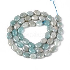 Natural Amazonite Beads Strands&nbsp;G-T142-24