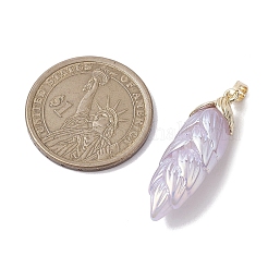Rainbow Iridescent Plating Resin Pendants&nbsp;PALLOY-JF02716