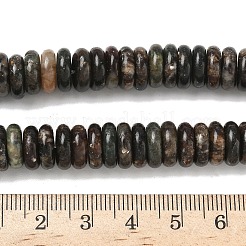 Natural Biotite Beads Strands&nbsp;G-B155-B04-4x10mm