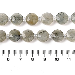 Natural Labradorite Bead Strands&nbsp;G-C116-A10-01