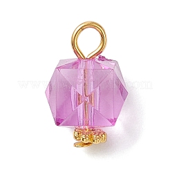 Transparent Acrylic Pendants&nbsp;PALLOY-JF04258-01