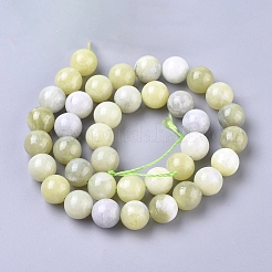 Natural Sinkiang Jade Beads Strands&nbsp;G-L538-036-10mm