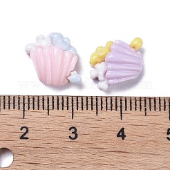 Opaque Cute Resin Decoden Cabochons&nbsp;RESI-B024-01L