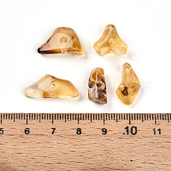 Transparent Acrylic Beads&nbsp;X1-TACR-T028-37G