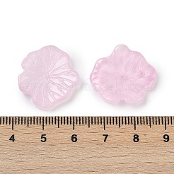 Transparent Glass Beads&nbsp;DGLA-E004-02C