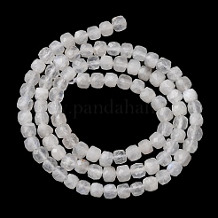 Natural Rainbow Moonstone Beads Strands&nbsp;G-B190-A01-01