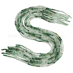 Natural African Jade Beads Strands&nbsp;G-C262-A03-3mm