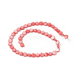 天然淡水貝殻染めビーズ連売り  花  レッド  8x8.5x3mm  穴：0.6mm  約49個/連  15.35''（39センチメートル）&nbsp;SHEL-K001-001B