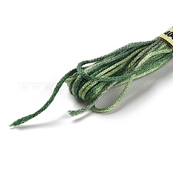 10 Skeins 6-Ply Polyester Embroidery Floss&nbsp;OCOR-K006-A63