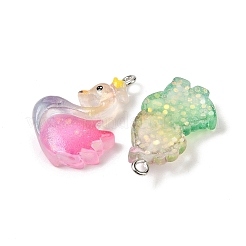Animal Transparent Resin Pendants&nbsp;RESI-B035-03