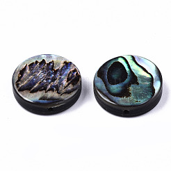 天然アワビシェル/パウアシェルビーズ  フラットラウンド  カラフル  14.5x3.5mm  穴：1mm&nbsp;SSHEL-T014-14C