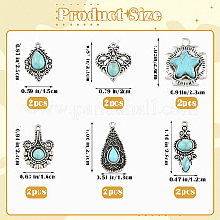 12Pcs 6 Styles Imitation Turquoise Resin Pendants&nbsp;FIND-SZ0019-78