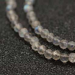 Natural Labradorite Beads Strands&nbsp;G-K182-2mm-25A