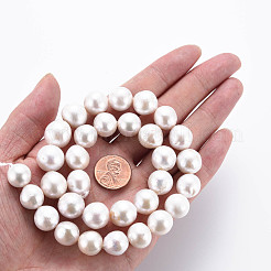 Natural Keshi Pearl Beads Strands&nbsp;PEAR-S020-L02